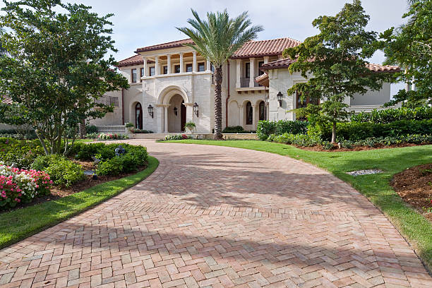 Best Local Driveway Pavers  in Collingdale, PA